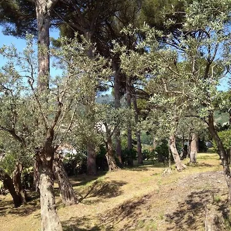 La Gabbianella Con Piscina *